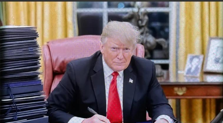 重磅！重磅！美国大豆对华出口订单为零！大豆协会主席疾呼！解除对华关税！
在中美关