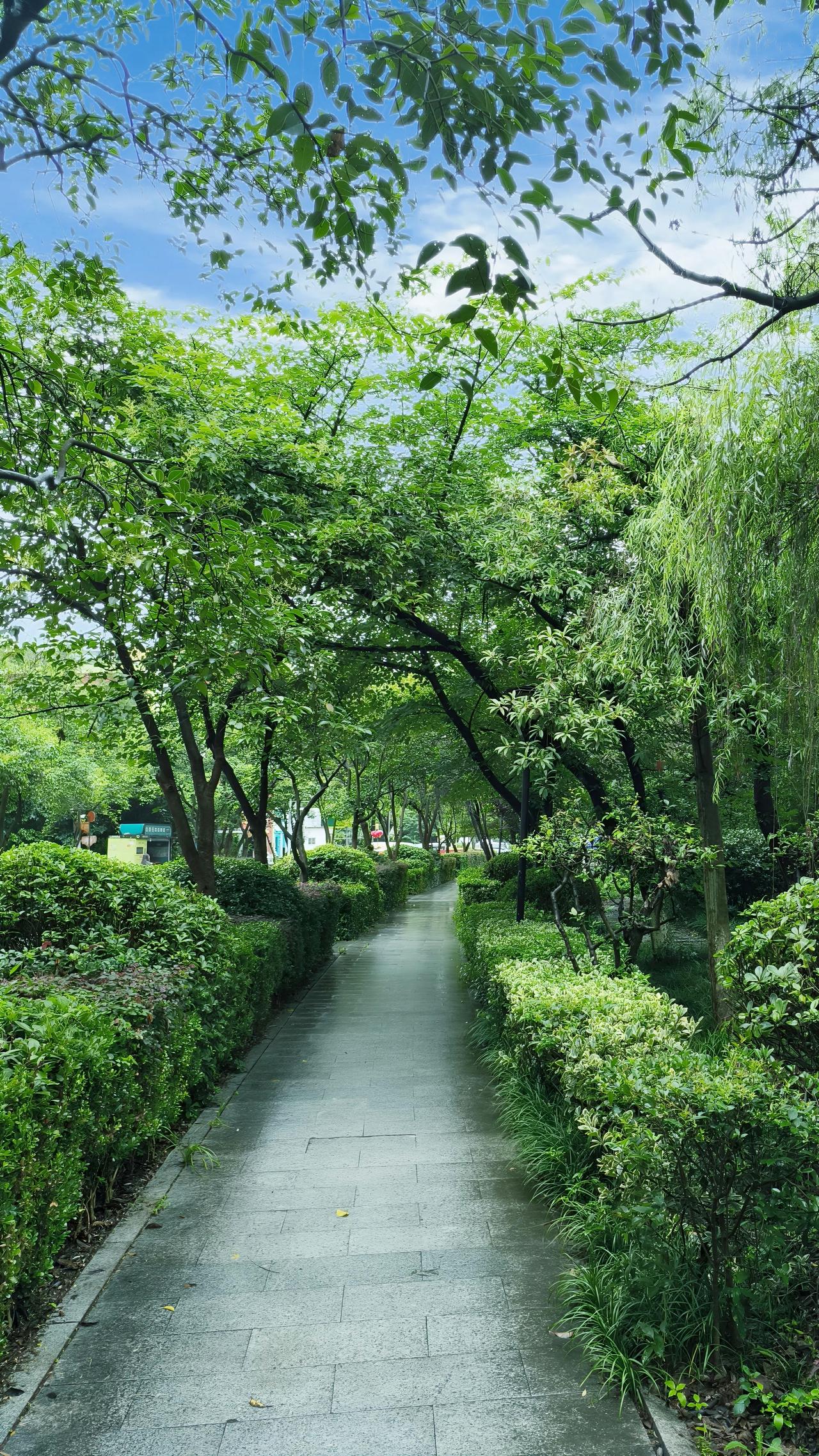 这时候，又总容易去艳羡别人。看到同行已经做出了成果，心里难免会着急。但后来我明白