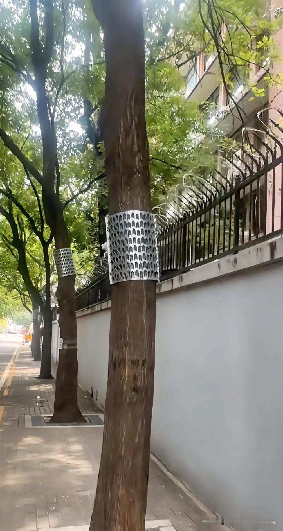 这个安保措施做的好，