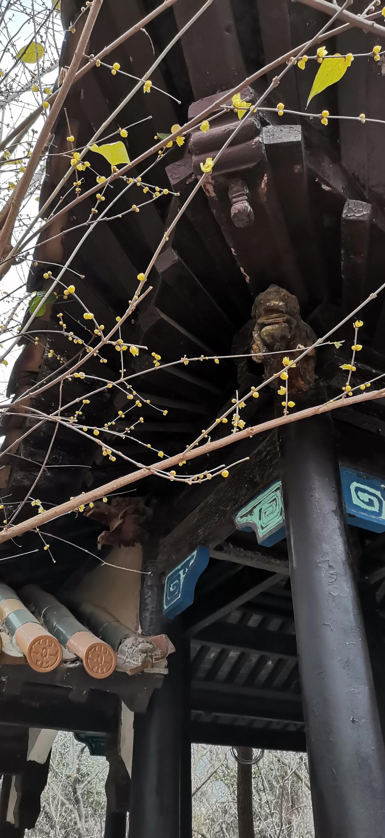 生活中的光影之美