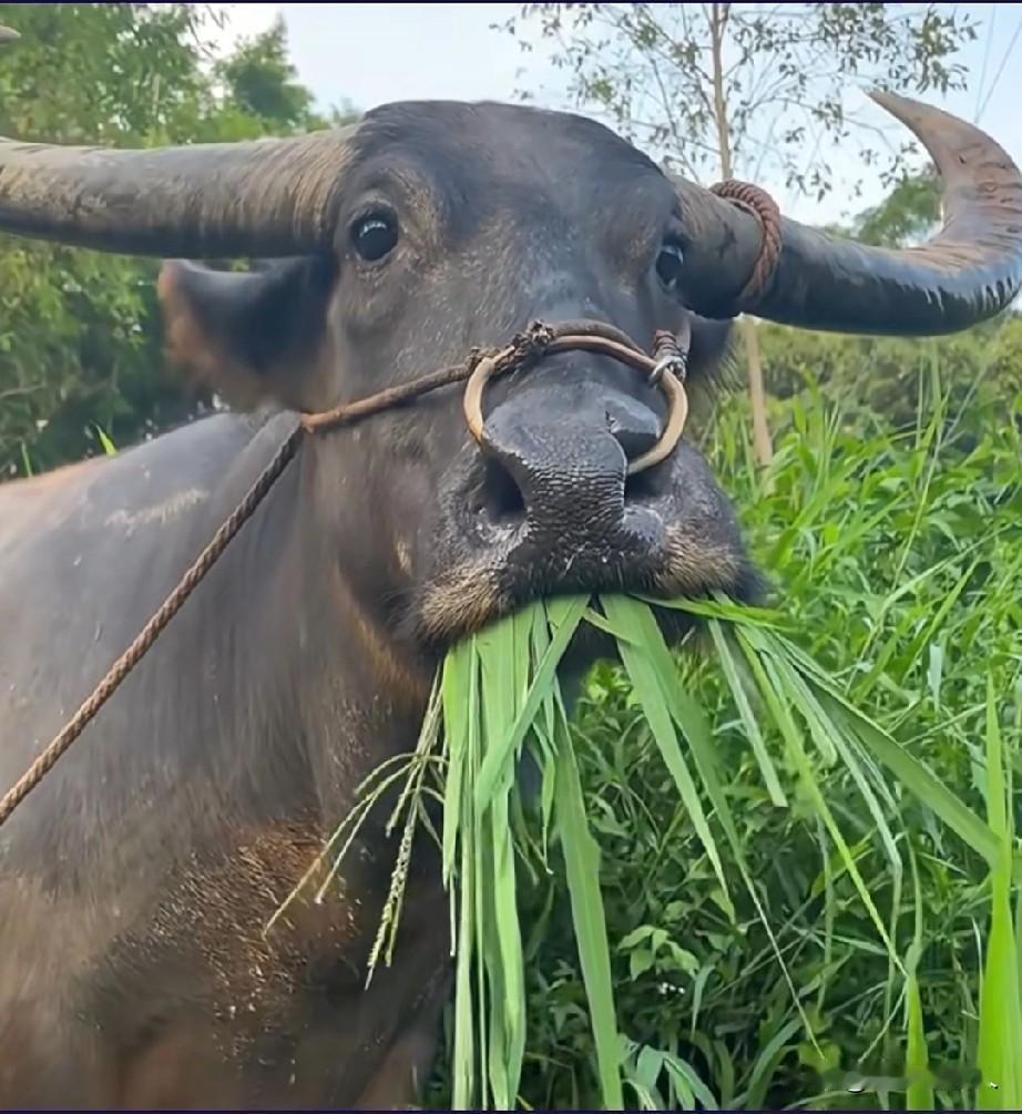 年底了，各种提拔任用公示都出来了，有人欢喜有人忧，哪有啥皆大欢喜，有的只是冷枪暗