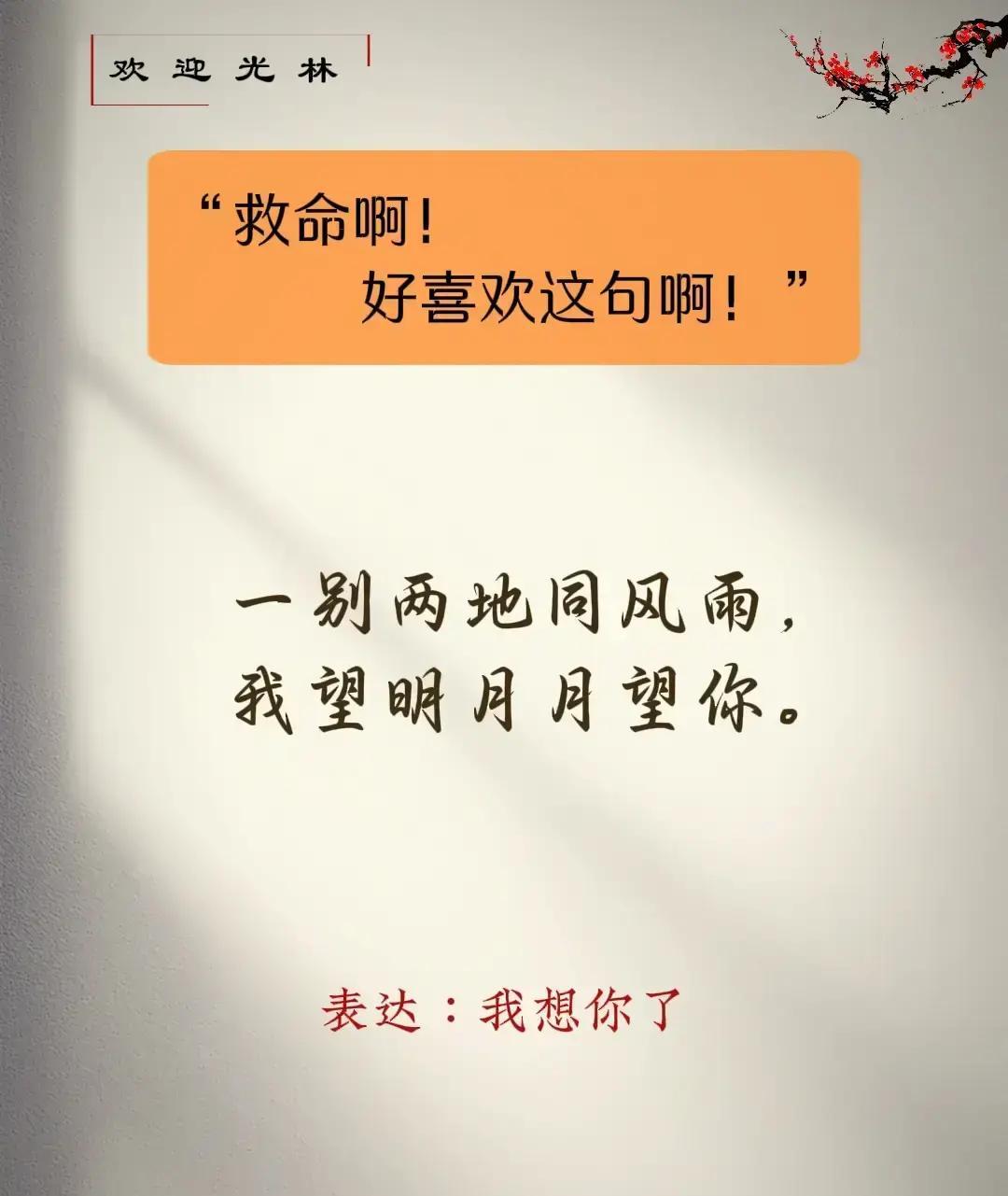 生活里，总有些话语看似平常，却字字句句说进了人的心坎里，它们不是长篇大论，却是我