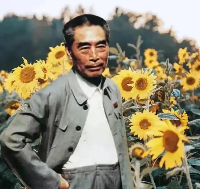 1973年，周总理陪外宾参观延安之后，想拜访一下当年的邻居杨大嫂，但村子里一个人