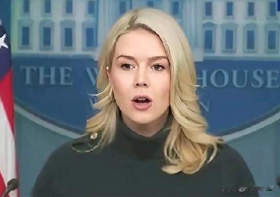 记者:“特朗普说明尼苏达州在掩盖欺诈行为，掩盖的是什么？”

莱维特:“他们鼓励