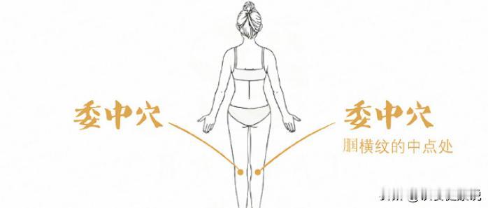 【穴位养生，一个简单的小方法，祛除腰背疼痛！】

治疗由膀胱经气血不通所产生的腰