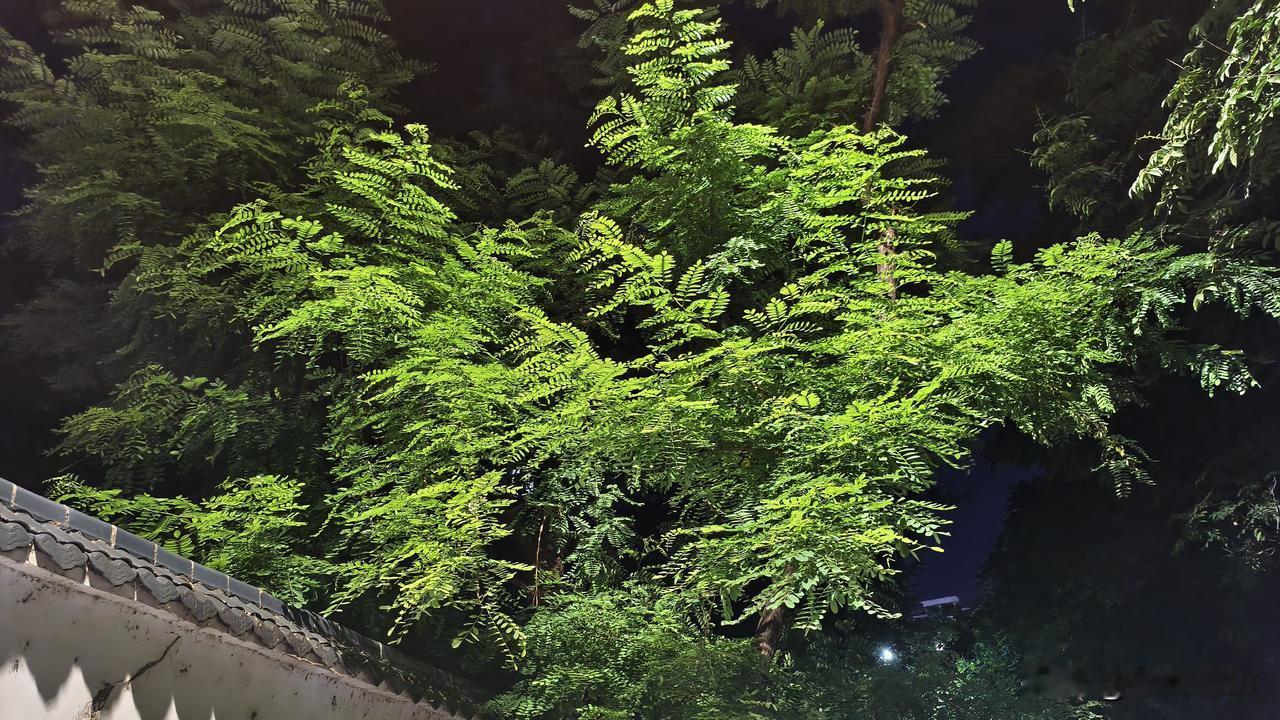 高强度的工作，确实对身体不太友好。

最近工作强度有点大，感觉身体比较累，不只是