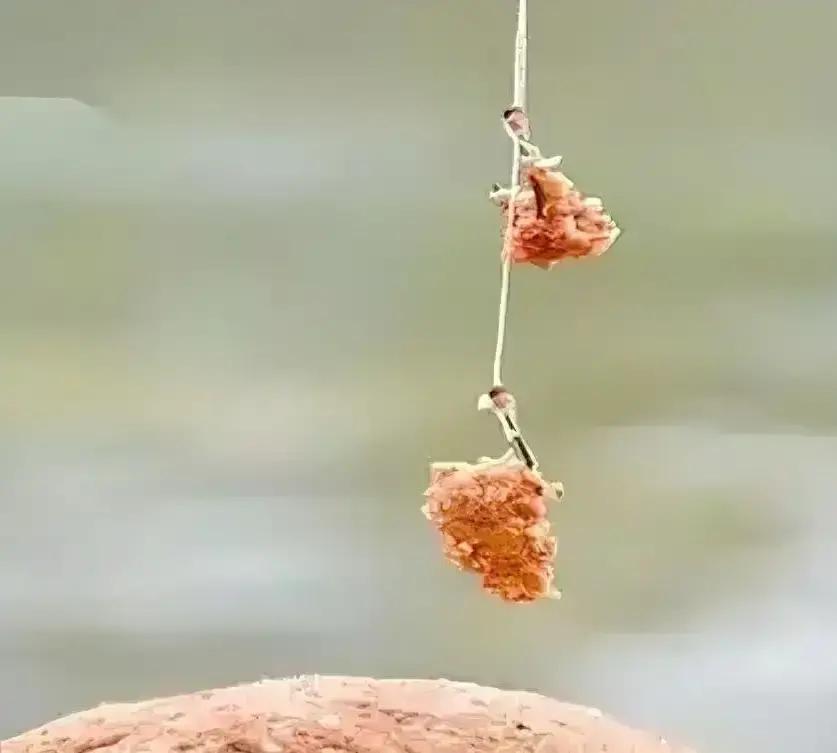 看着这老爷子那一团死面疙瘩，我突然觉得现在的年轻人输得一点都不冤。
 
那小伙子