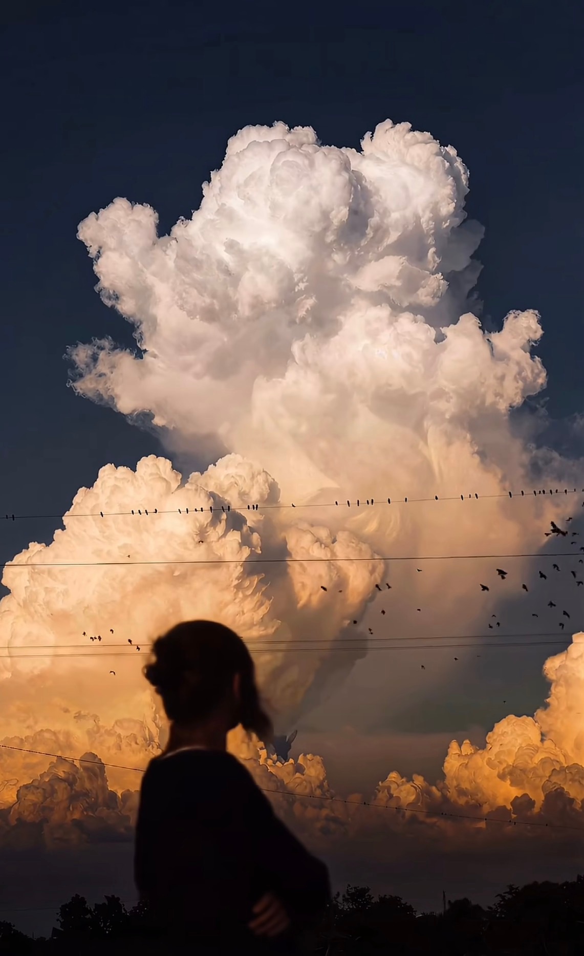 ☁️ 