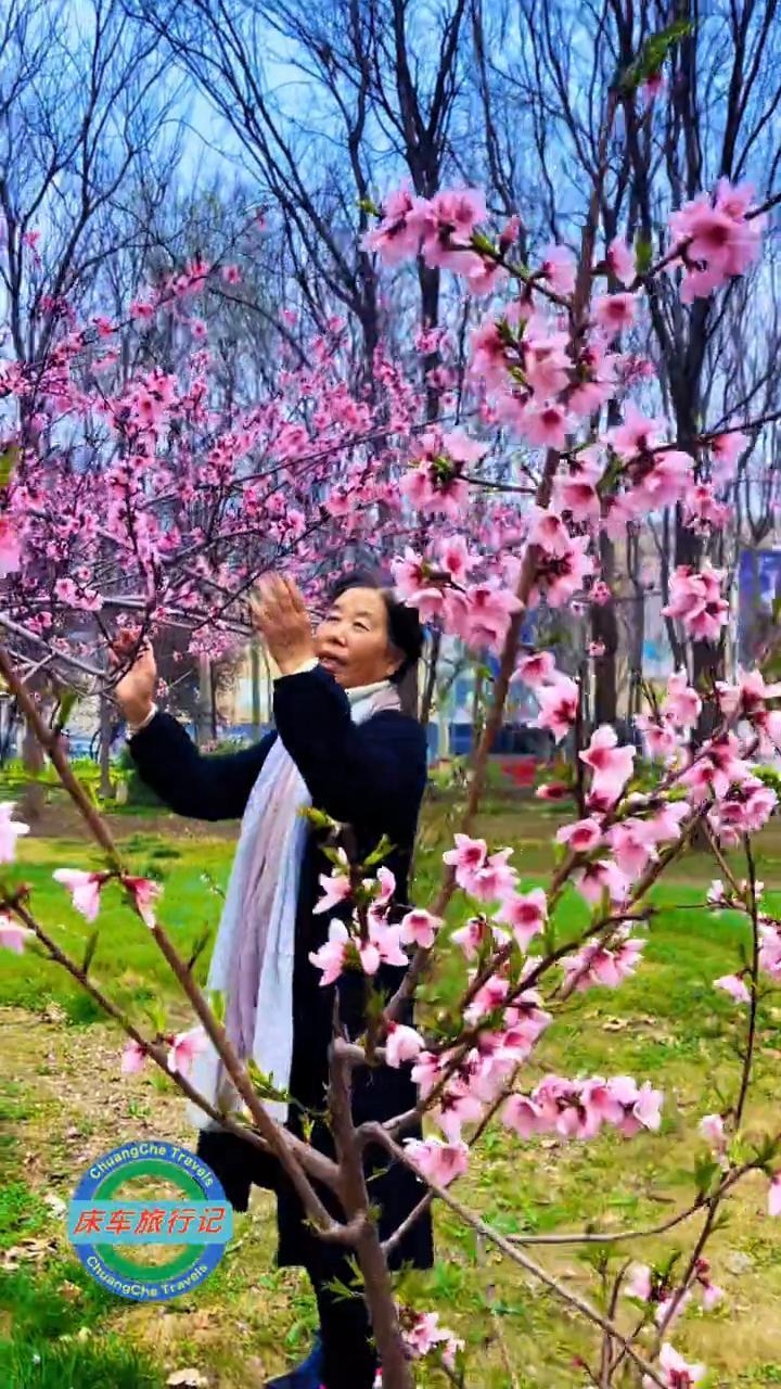 家乡的三月桃花醉。
欢迎关注，下期再见。