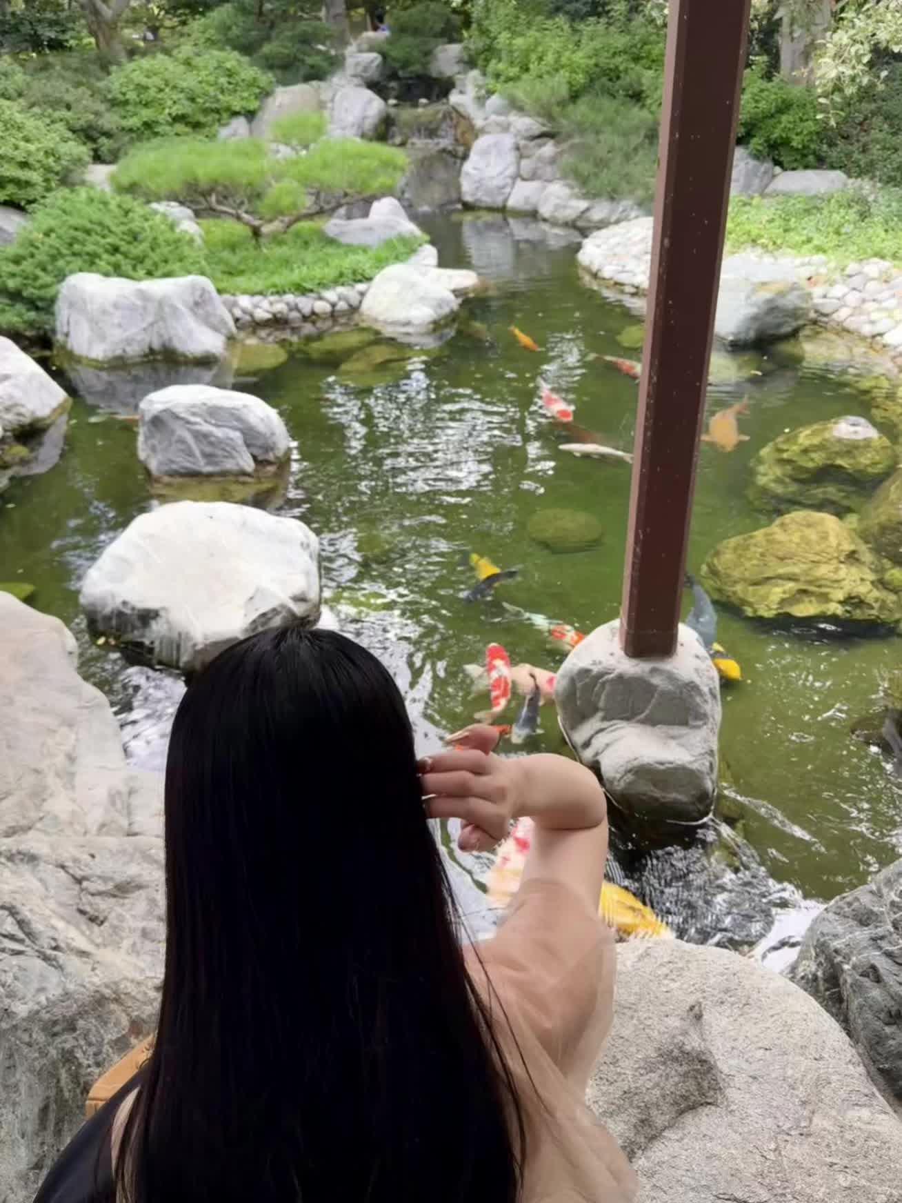 🪭₍^·͈༝·͈^₎◞ ̑̑ 🎍💭 在寻找本我的路上一起加油