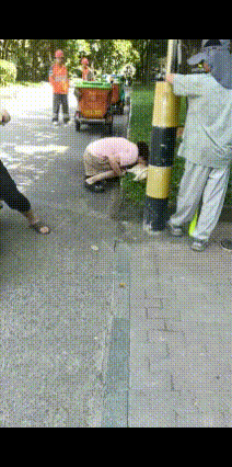 笑不活了，网友“创业宠物葬礼有没有搞头”。
一女子趴在马路旁的绿化带，失声痛哭，