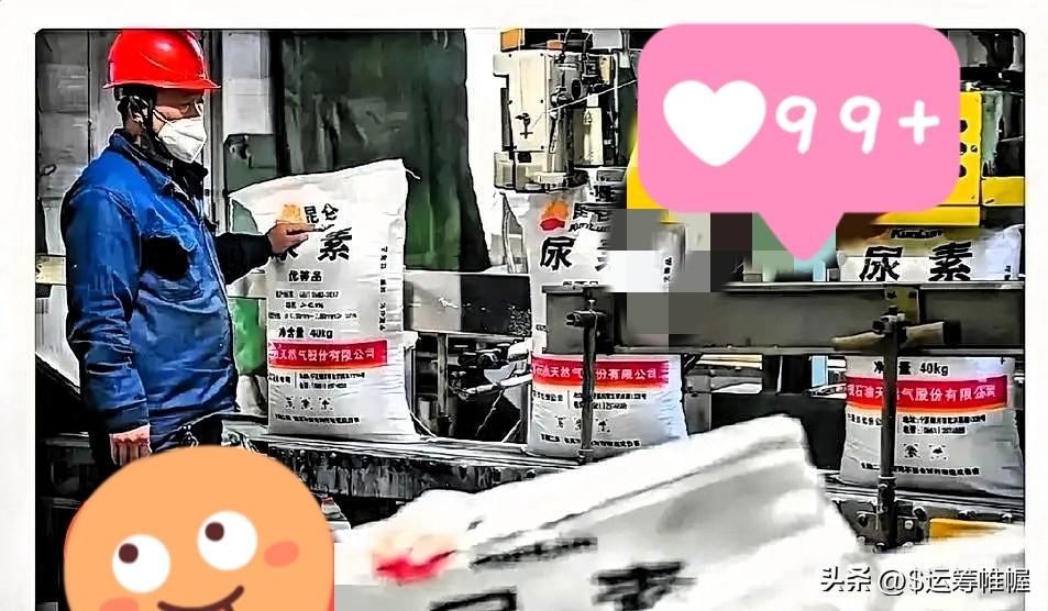 霍尔木兹海峡那边还没消停，谁能想到，咱们西北新疆、宁夏和内蒙的尿素厂却忙得脚不沾