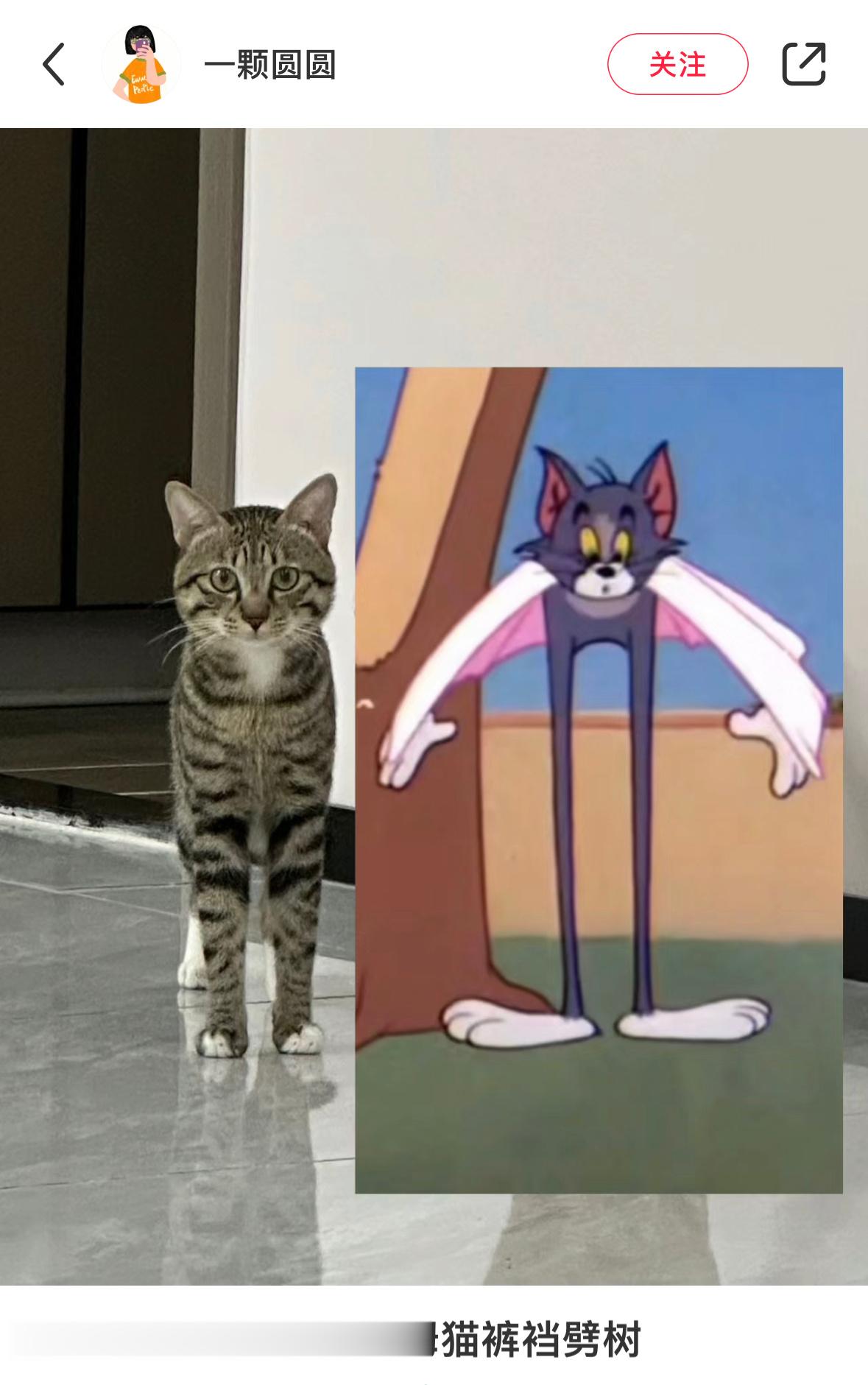 汤姆猫裤裆劈树有了具象化 ​​​