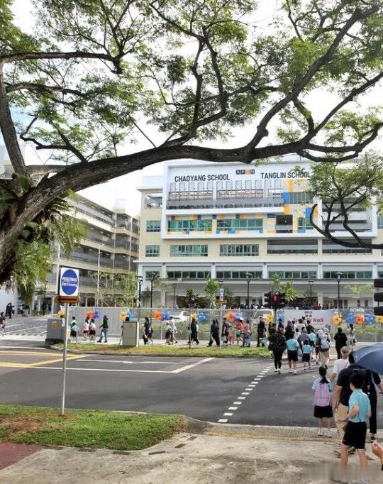 新加坡朝阳学校位于宏茂桥54街的新校舍，9月26日正式启用。朝阳学校和东陵学校迁