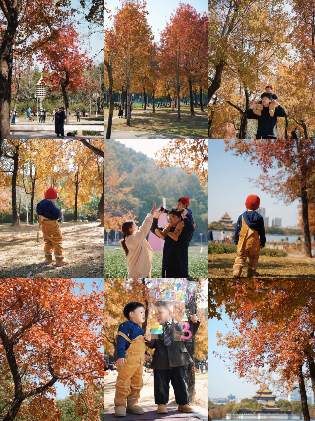 🍁｜顺峰山的枫叶红浓度90%