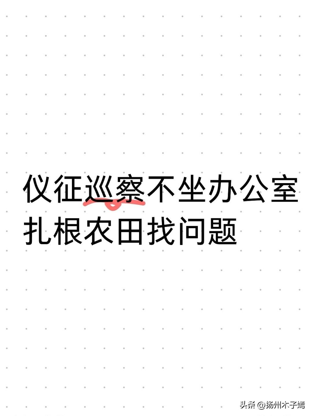 近日，仪征市委第二巡察组下沉全市各片区高标准农田一线，全面启动涉农项目专项巡察工