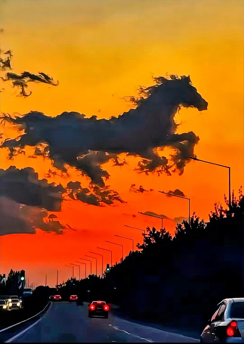 •‿•♡ⓛⓞⓥⓔ♡
⛅️²⁰²⁶/₀₇.₀₃ᰔᩚ ◡̈ ᐝ♥🐳এℒℴ⋆✧
 ﹊