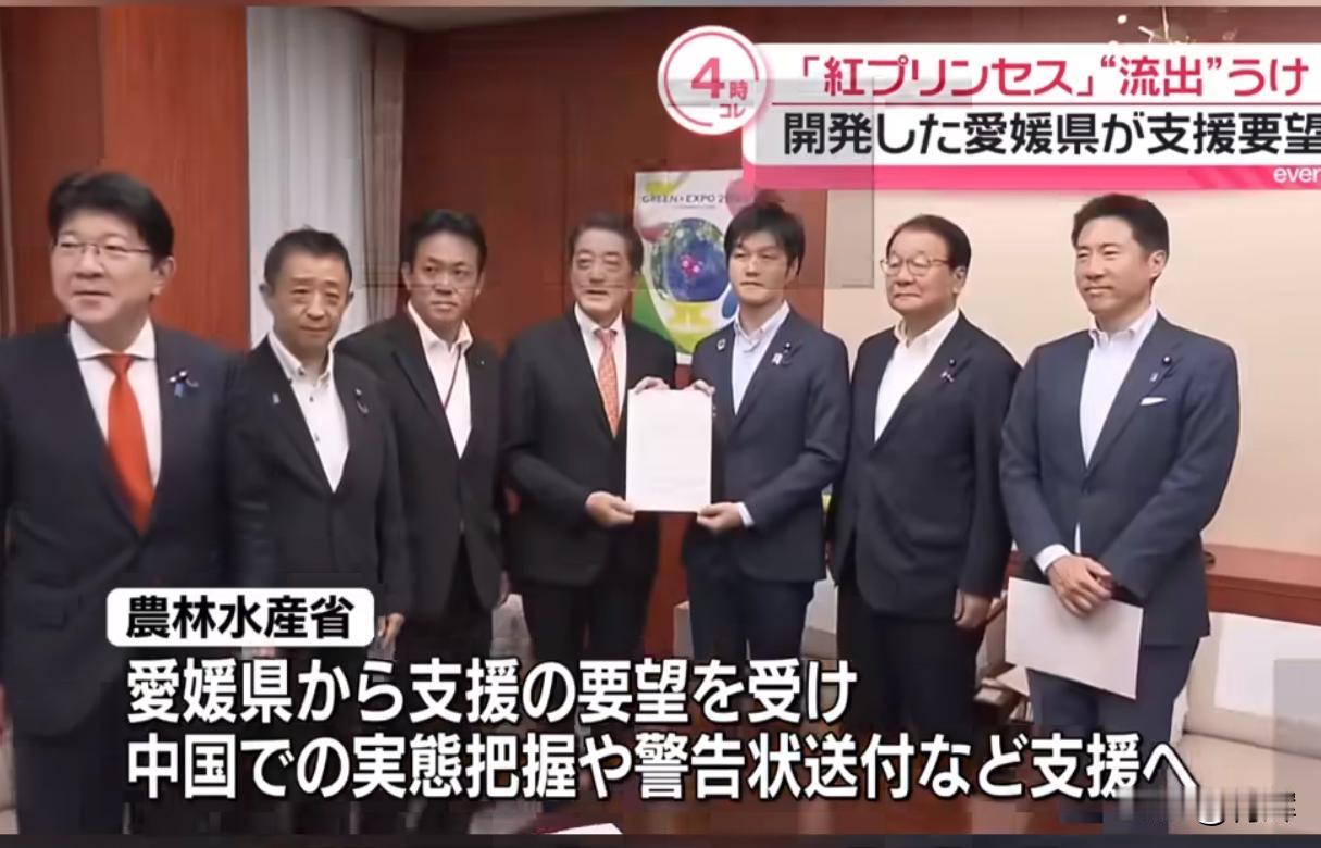 如果是真的就给他们！日本声称本土柑橘流至中国，要求停止栽培
6月22号，日本爱媛