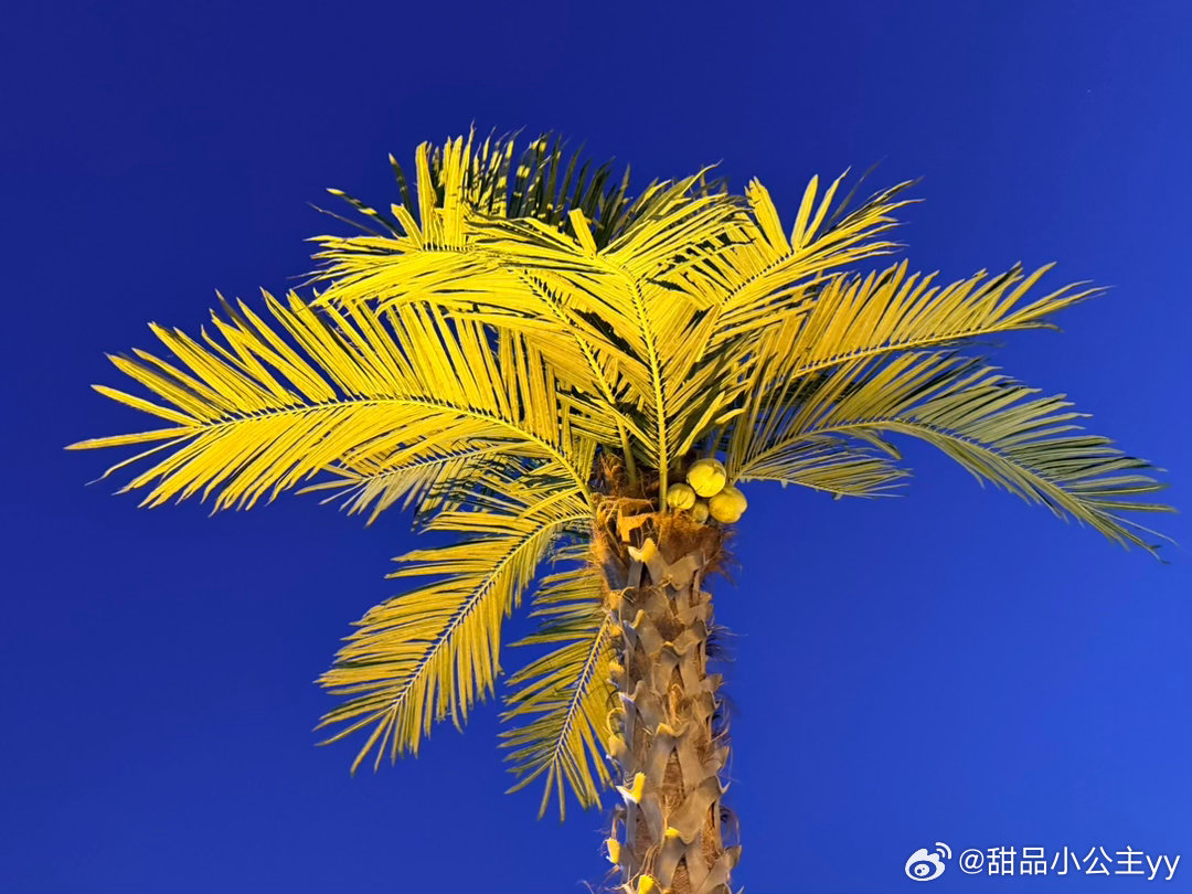 没想到这么热感觉比跑5公里出汗都多 秦皇岛·仙螺岛跨海索道