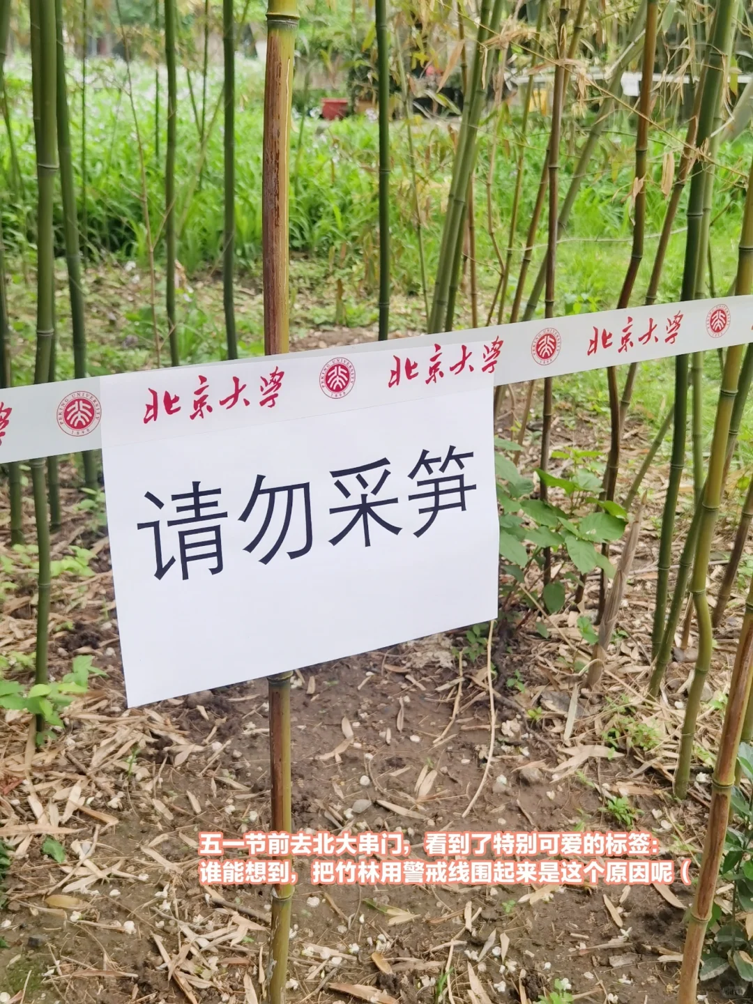 读研|允许自己写烂论文是做学术的第一步