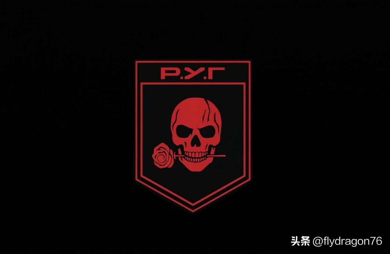 🇺🇦乌克兰武装部队的组织架构调整

乌克兰国民警卫队第13旅“宪章”营下属的