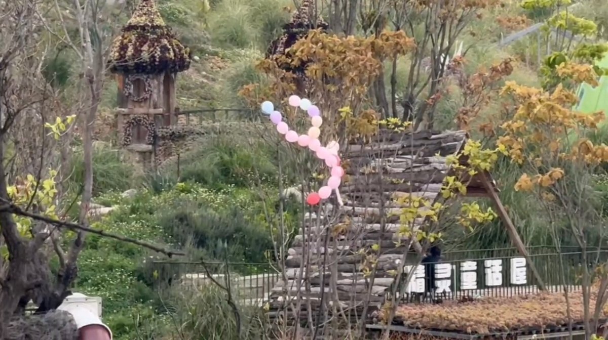 别人放风筝李静罗海琼放气球21天重养自己路透道具飞了 笑不活了家人们！李静新综艺