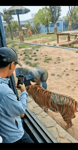 大猩猩打法真特别