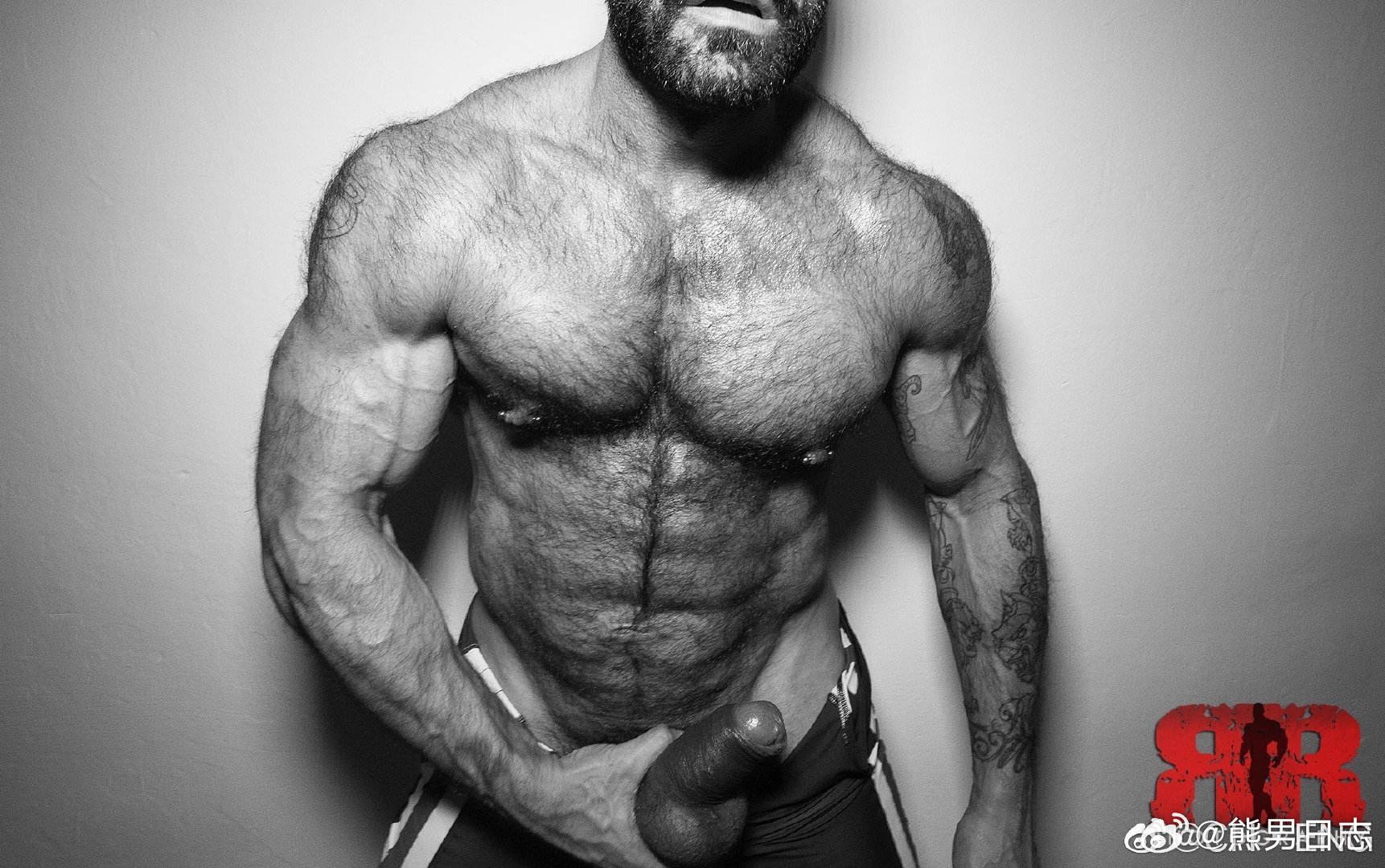 【MUSCLE】() 