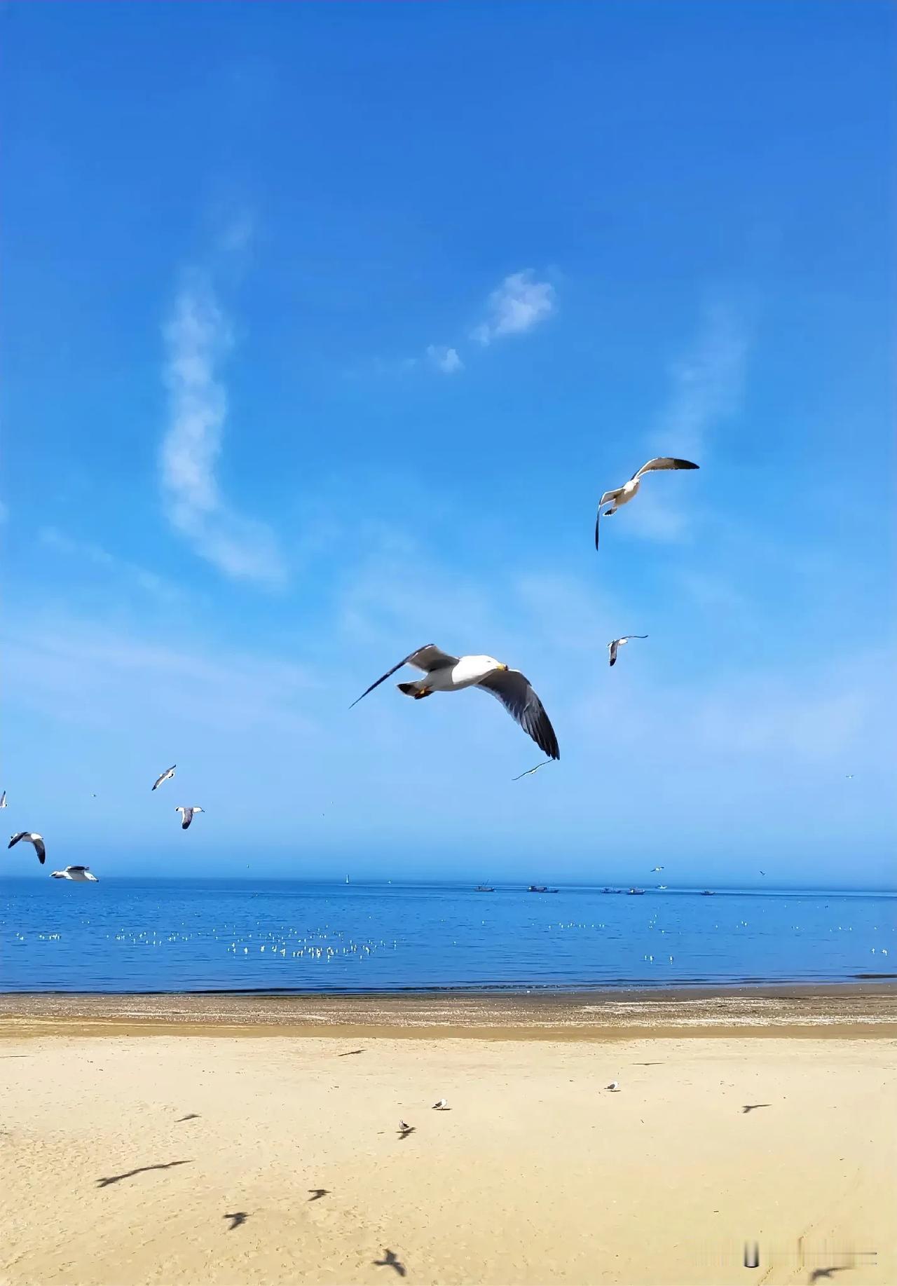 分享一张你拍的海滩