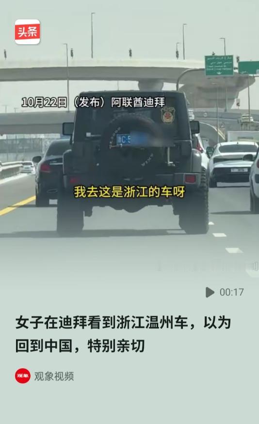 女子在迪拜生活十年，思乡心切，突然在路上看到一辆温州车，随即拦下车主，激动握手，