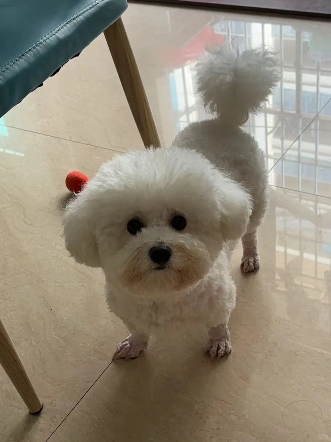 今日10点整收到投诉一次：吃得多拉的多！