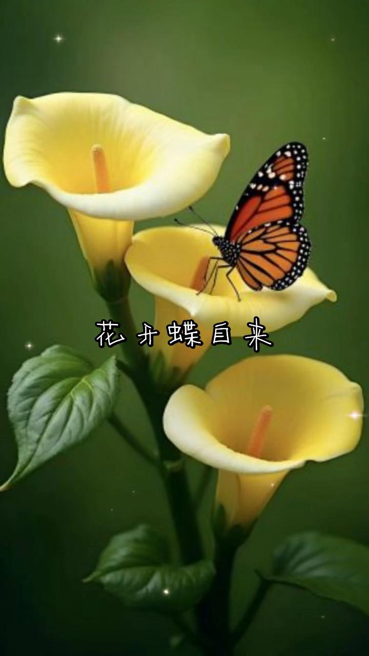花开蝶自来。
