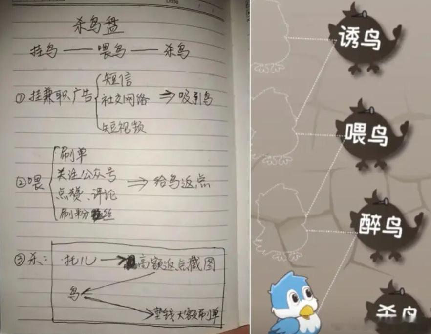 杀鸟盘。骗局。 
