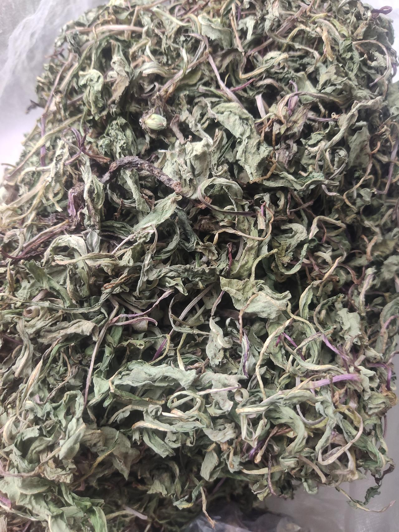 这次从老家回来，我带回了不少菜，有婆婆特意为我拔的晒干的婆婆丁，还有大蒜、蒜苔、