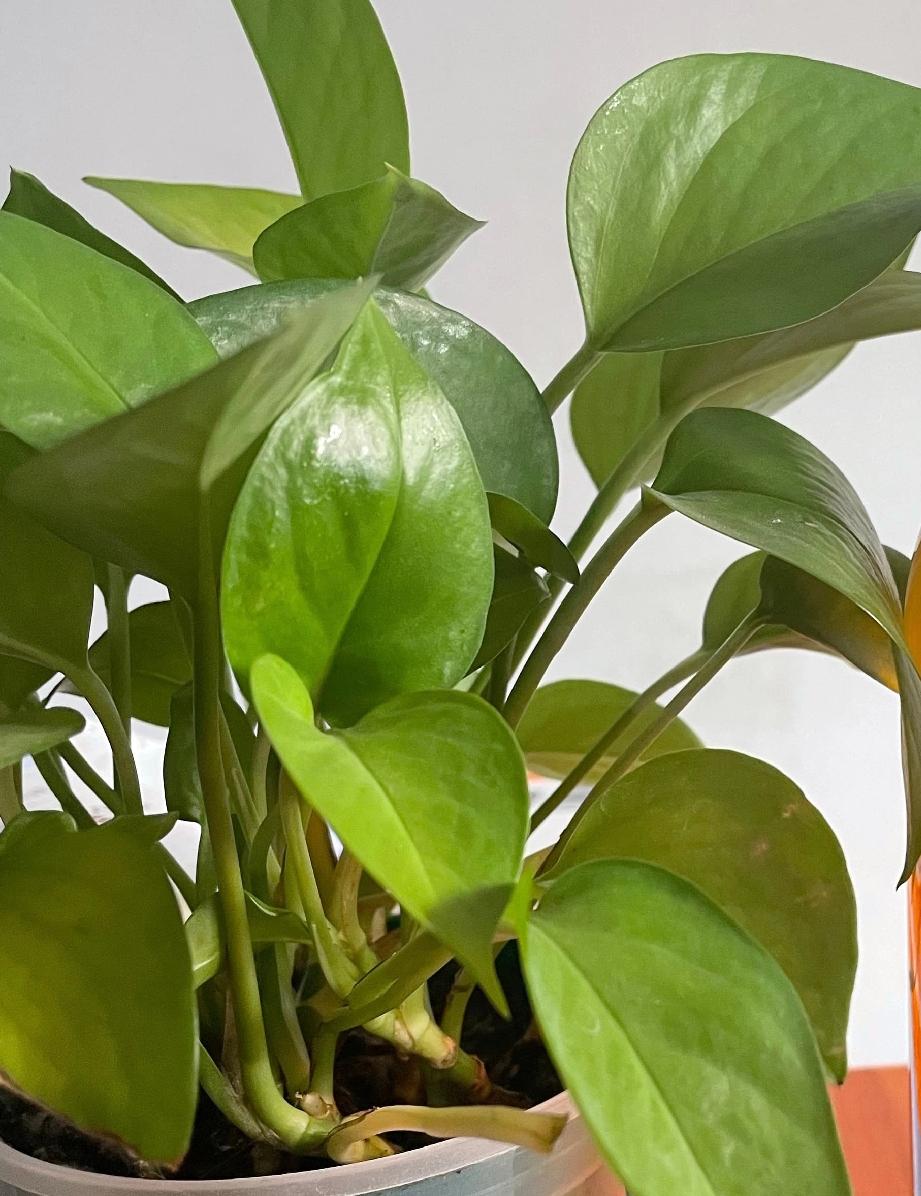 历史上有没有两个人，提到其中一个就会立马想到另外一个？
比如说，提起陈胜，必有吴