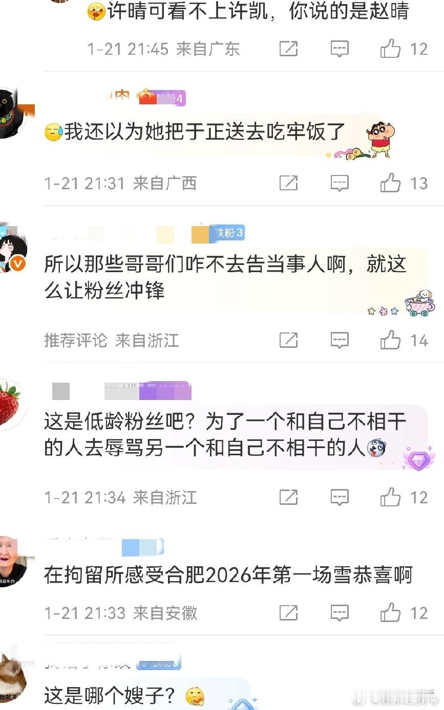 1 月 21 日，许荔莎发文，言语间满是挑衅意味。她称已将那些为许凯 “冲锋陷阵