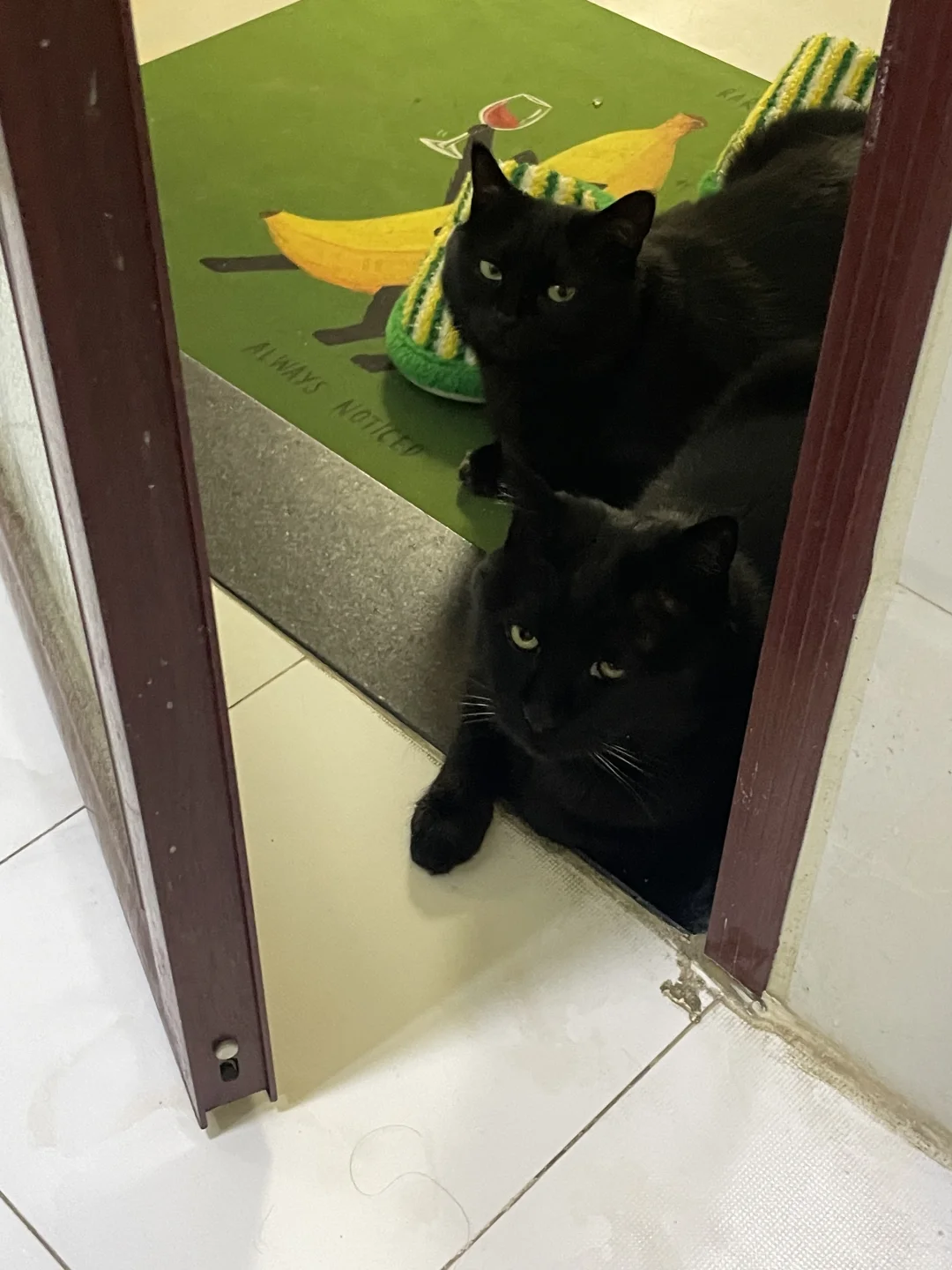 不小心把厕所搭子拒之门 be like