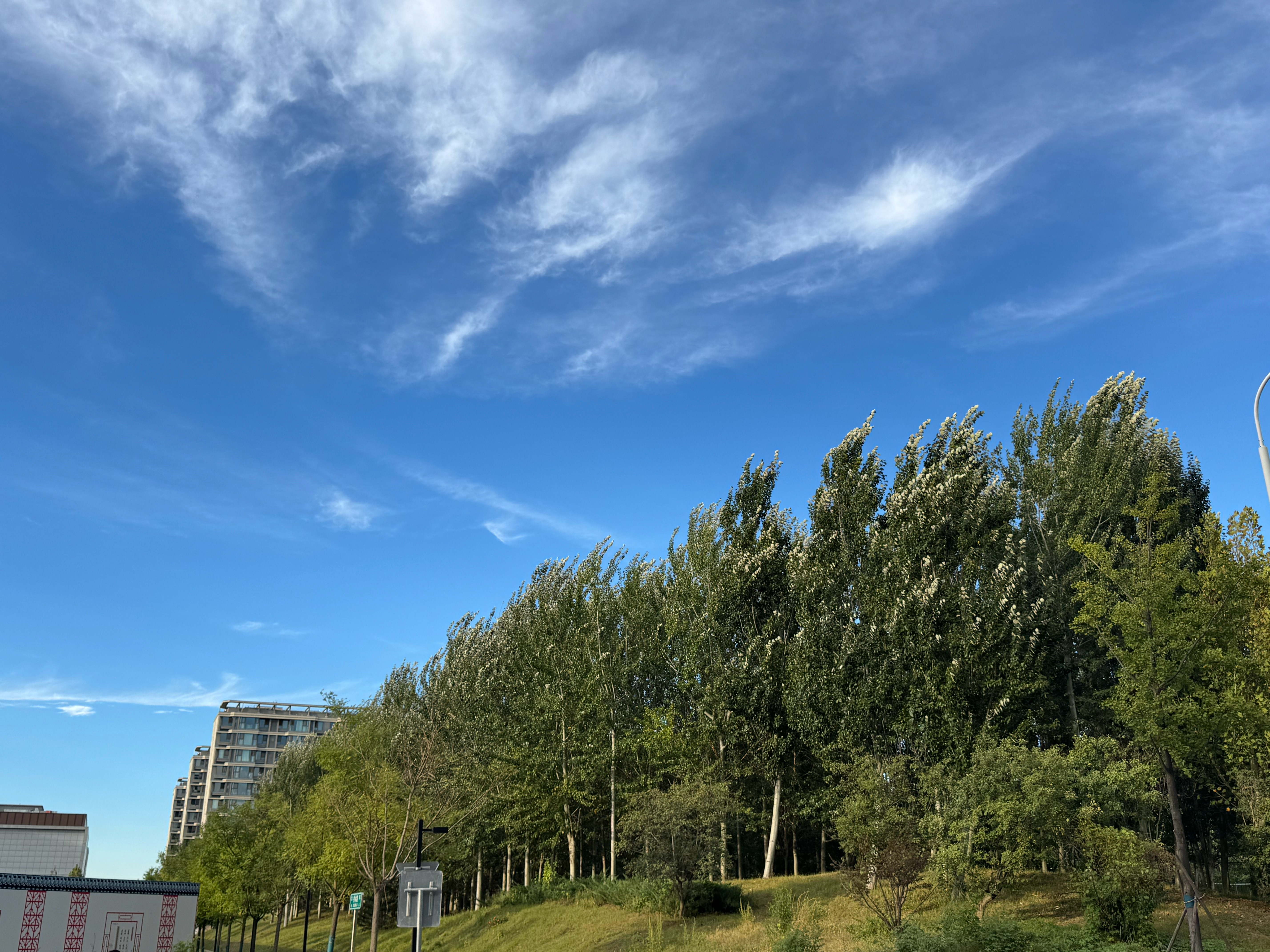 抬头感慨北京秋天美的时候低头 一哥们开着一个奔驰大G 6X6 从我眼前过去了 …