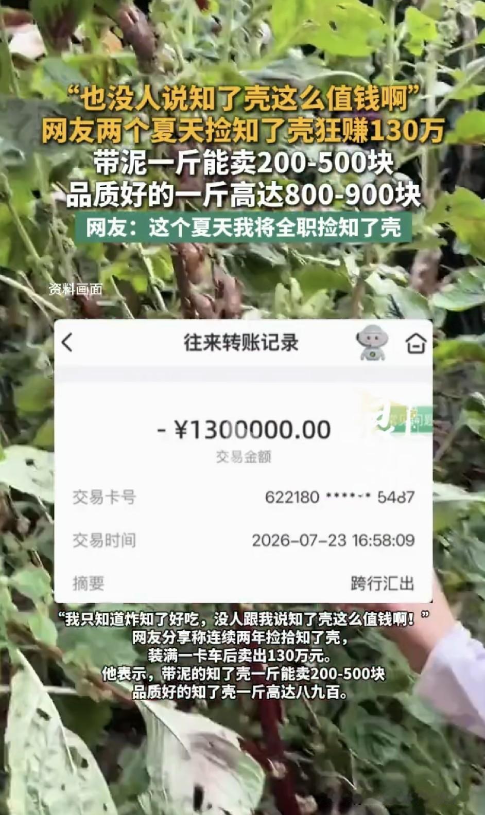 网友捡知了壳卖了1300000！你没看错，130万！有人说，也没人说知了壳这么值