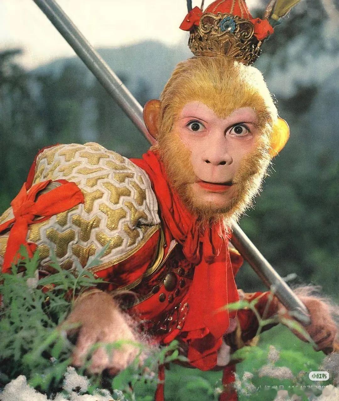 梁女士认为cy演孙悟空会大量脱粉，觉得演唐僧会比较合适，但是网友觉得大鹏鸟外貌更