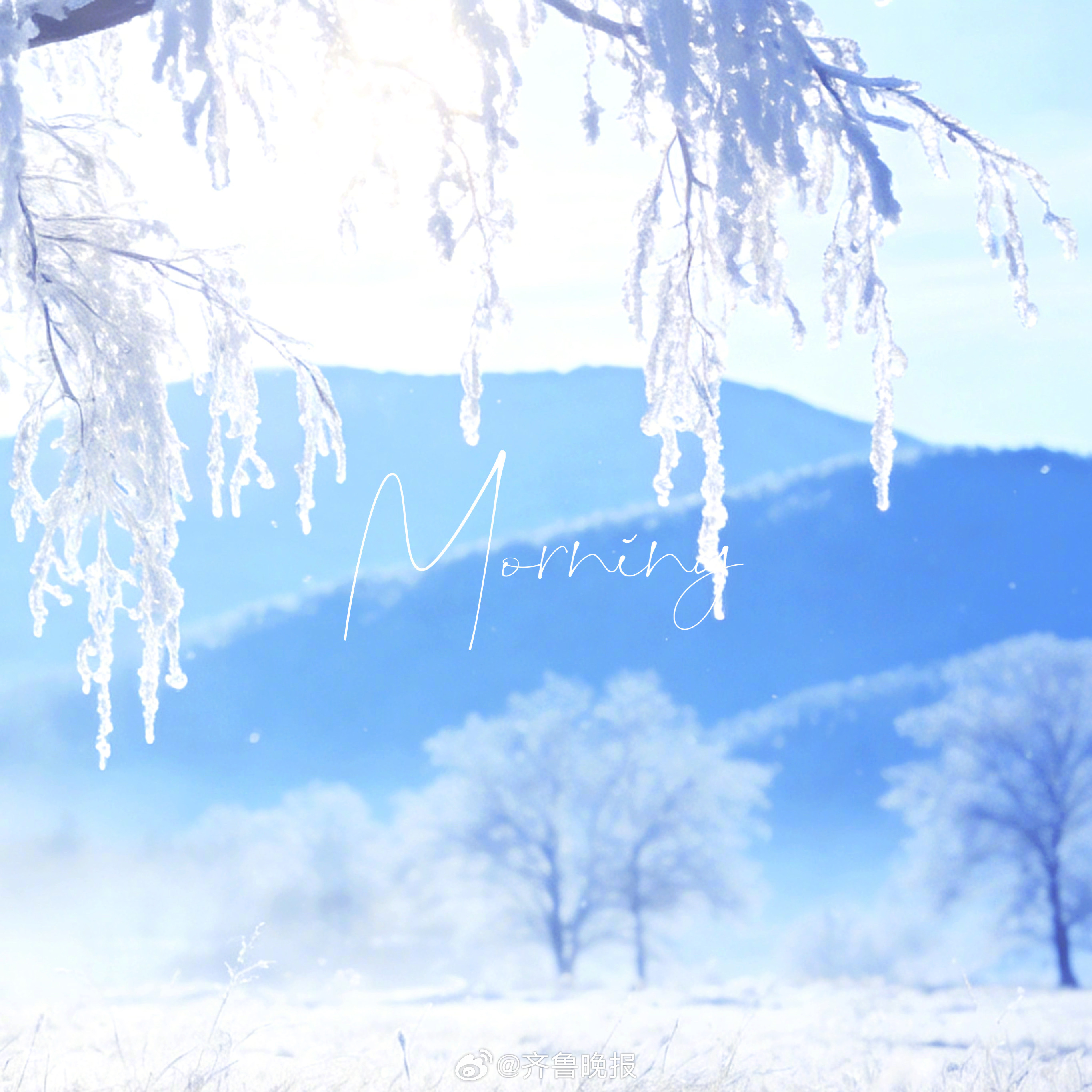 向内扎根的深度决定了向外舒展的广度#早安#