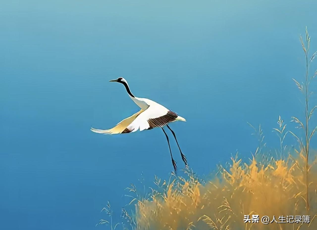 我接触过的女人有工作，经济独立的，大多是只生一个孩子；反之，生的孩子就比较多，最
