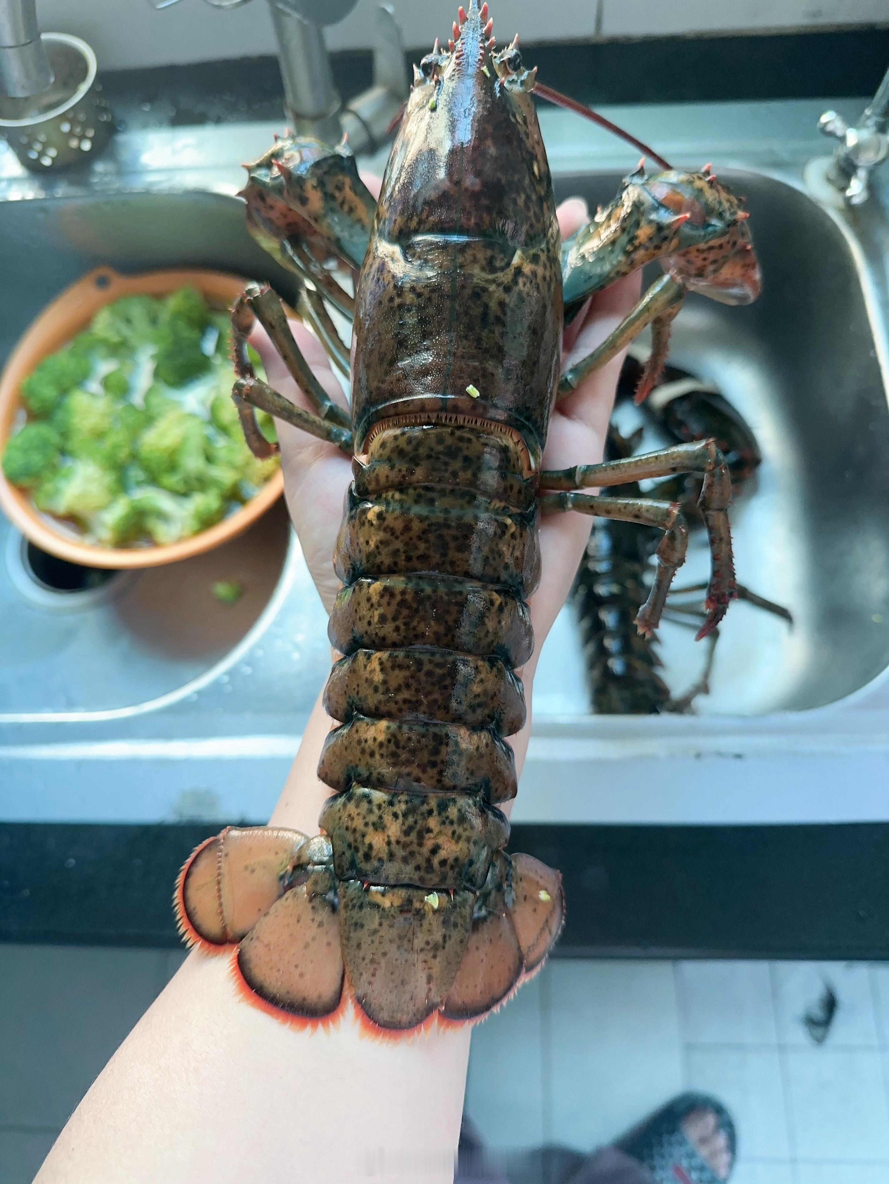 冬至快乐🍧日常plog