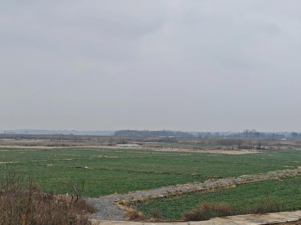 从老家回来十天，今天第一次发视频跟老妈聊天，她说我两个孩子走了之后那几天，他跟我