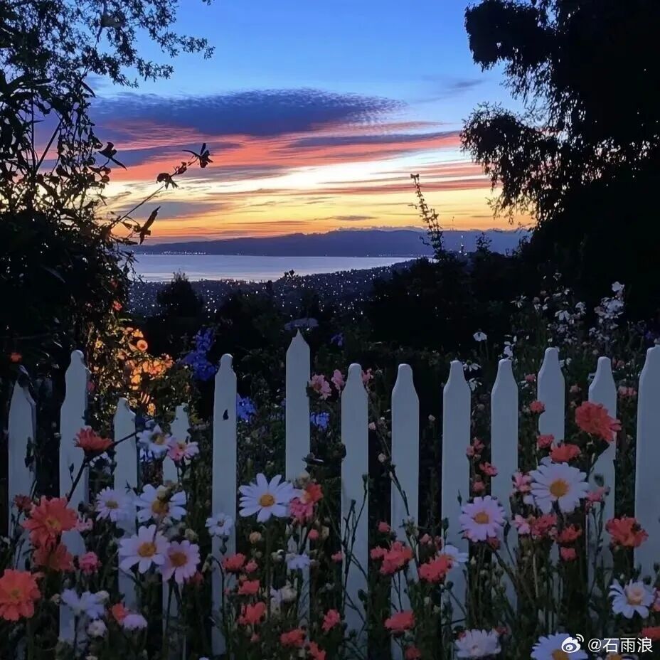 “后来我终于知道，它并不是我的花，我只是恰好途径了它的盛放。”金牛座治愈情感