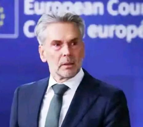 振奋人心！我们赢了！
荷兰政府终于低头！
正式宣布安世半导体控制权回归中国！
 