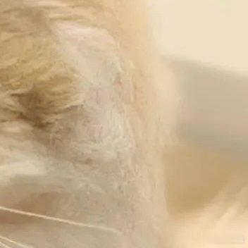 生活手记 打破沉默，到达世界的尽头，坚强的，有尊严的活着，为了自己的理想和追求，