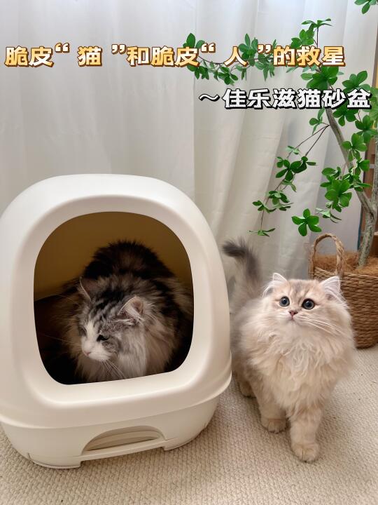 不是我说，这猫砂盆就是我和猫的救星～