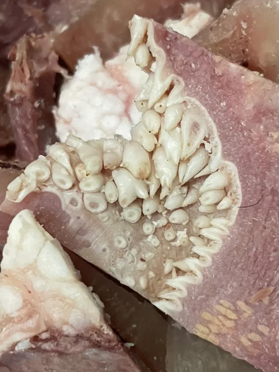 有人喜欢吃牛杂吗？
平时我们家都喜欢吃牛杂，牛杂很好吃，而且做汤特好吃！
今天晚