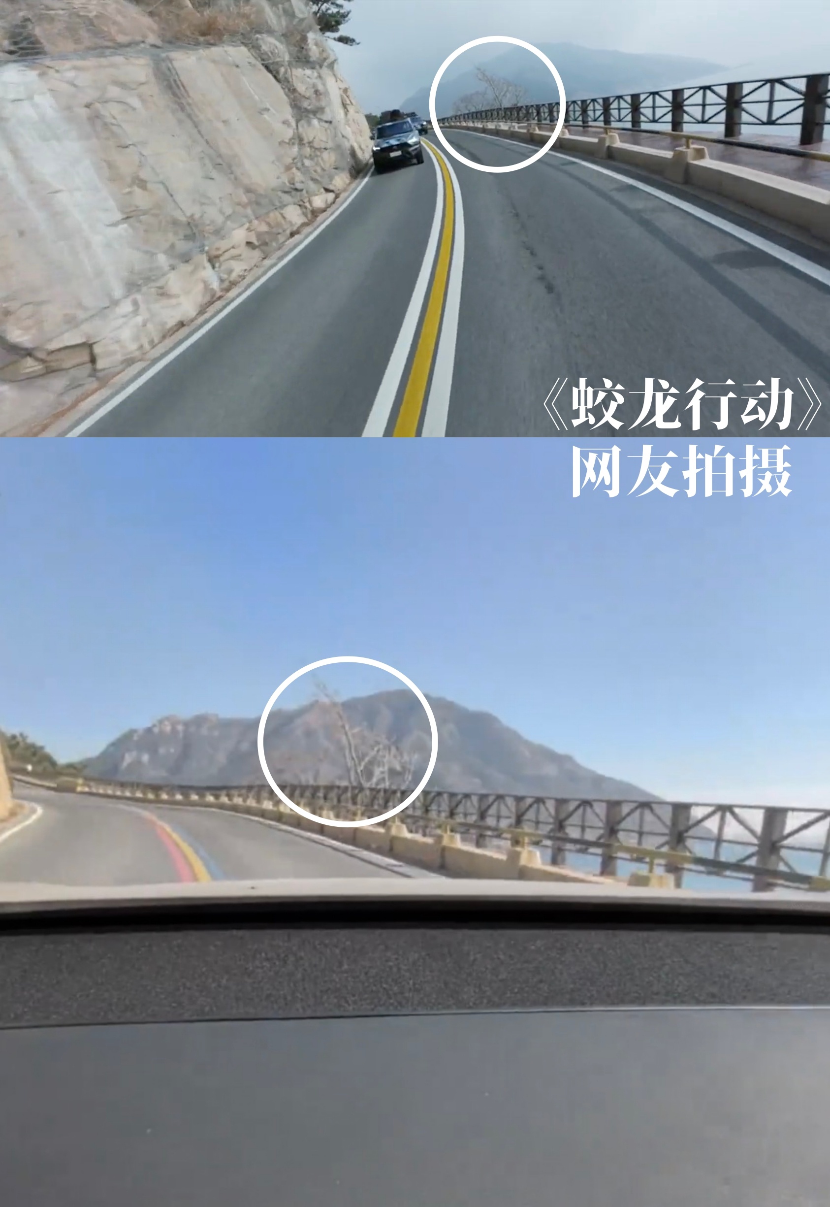 不知道这算不算泄密[doge]《 蛟龙行动 》里去往蛟龙号基地的路是在“ 青岛最